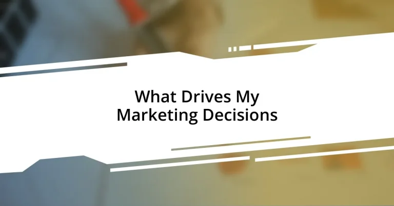 What Drives My Marketing Decisions